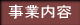 事業内容