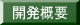 開発概要